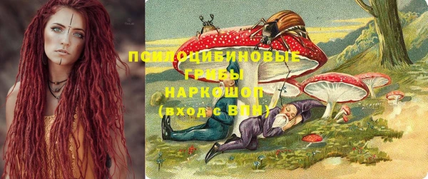 крисы Елабуга