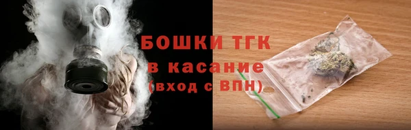 крисы Елабуга