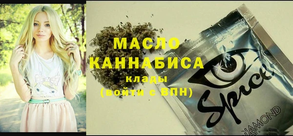 крисы Елабуга