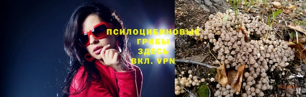 соль курить ск Елизово