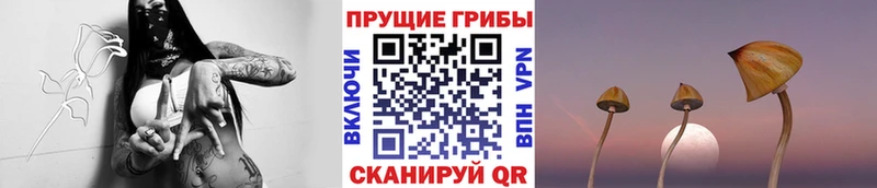 Купить  Воскресенск  Псилоцибиновые грибы ЛСД 